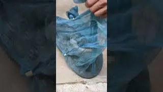 Wow!! DIY Snake Catch By Hand no trap #trap #shorts #video
