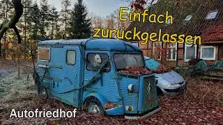Lost Place | Autofriedhof mit wahren Schätzen gefunden