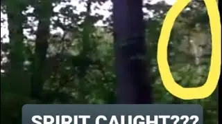 GETTYSBURG GHOST CAUGHT ON VIDEO: SOLDIER IMAGE SEEN AT 0:20