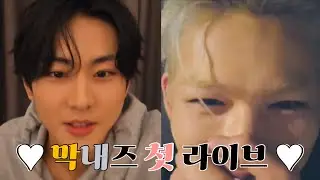 [정원/니키] 충격! 막내즈 라이브 진짜 있음 | 250820 엔하이픈 정원 니키 라이브 요약