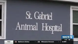 Over 30 dogs rescued from animal hospital; multiple found dead in trash bin