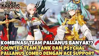 Team Party Pallanus Pakai Ace Apakah Bisa