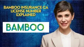 Bamboo Insurance CA License Number Explained