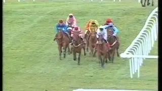 1995 Queen Mother Champion Chase