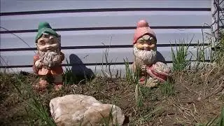 Happy Mothers Day Gnomes