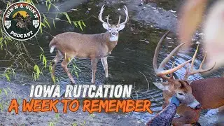 IOWA RUT BOWHUNT (A week full of Action)