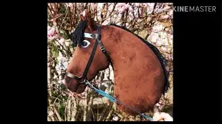 Neues HobbyHorse🤯 [ unboxing ] | _hobbyhorsing_de