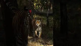Top 10 Best Places To Visit In Tenkasi.. | Tenkasi Nearby Tourist Places | Travelogue | Hangout