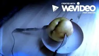 Как спечь яблоко на 220 в HD