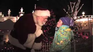 ZooLights at Stone Zoo!