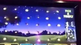 Wild Firefly Slot Machine Bonus
