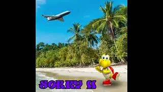 Brap - Sorry II