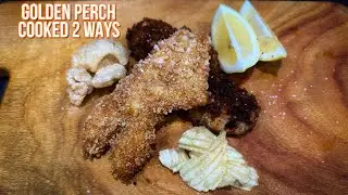 Golden Perch Freshwater Fishing! | Catch and Cook