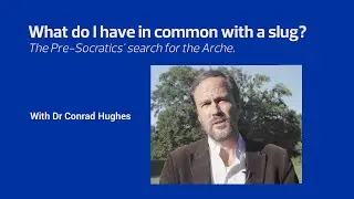 Creative Questions #1 : What do I have in common with a slug?