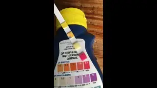 How to Use pH Testing to Predict Foaling | Interview with Angharad Lloyd (ASK Stud)