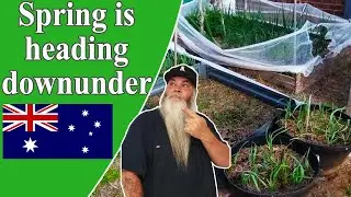Almost Spring. Australian Orchard, Vegies, Chickens, Compost Tour