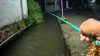 nginthil mancing sedang live sekarang! mancing malam hari di selokan, micro Fishing 🇮🇩