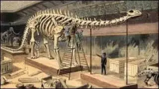 Science History - Geology (6/32) Geology And The Church