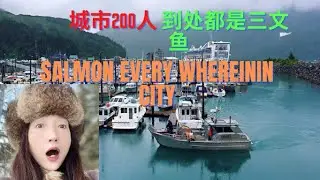 阿拉斯加慢生活：去200 人的城市看看  Alaska slow simple living: Alaska Happy living in Small city .