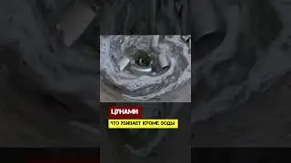 Tsunami. What kills besides water?
