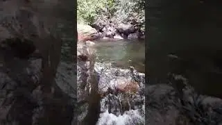 Kolli hills karavalli Fals