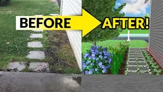 Installing a paver walkway and what to plant in between pavers