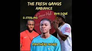 The fresh gang  bbboy panth&egrave;re noire feat bvn dou&eacute; ft d.sterling ambiance #rap #lubumbashi #music