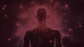 Federico Faggin: Kvantové vědomí (2025) cz