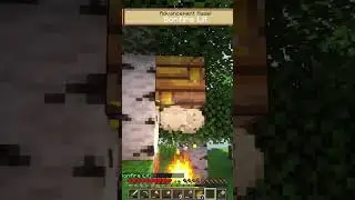 Как справиться с пчелами в Minecraft