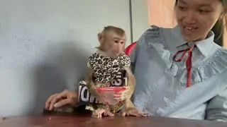 Monkey Jasmine hug box of jelly tight & anqrrii mom want to take it from her 