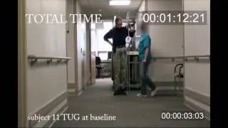 Intervention for MS gait and balance impairment – Video S1 [128872]