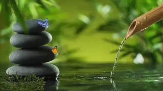 Sons Relaxants d'Eau et Chant d'Oiseaux - Musique Apaisante pour D&eacute;tente, Sommeil et M&eacute;ditation