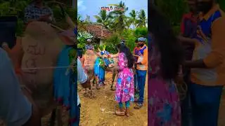 hori Habba video#horihabba #viralvideo #trendingshorts #trendingshort# shortvideo #shorts #subscribe