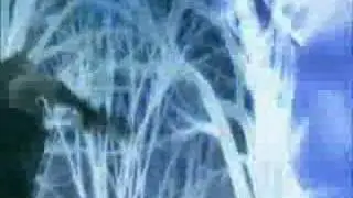 Final Fantasy Atreyu AMV