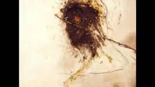 Peter Gabriel - Of These, Hope