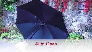 Cheeky Classic Long Umbrella