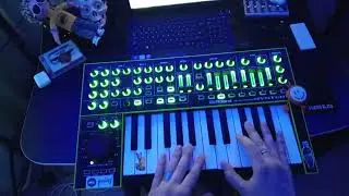 &lrm;@theprodigy&nbsp; - Omen (Cover on Roland System 1) #theprodigy​ #omen​ #live​ #cover​ #rave​ #roland