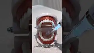 🦷Using electric suction toothbrush G100 on the teeth model🪥#shorts