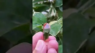 Wonderful Rare Crystal of Pink Topaz  Origin Katlang KPK Pakistan