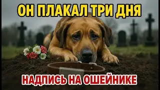ХОЗЯИН УМЕР... Собака рыдала! НАДПИСЬ на ошейнике — ШОК