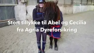 Abel - Danmarks Dyrehelt 2016