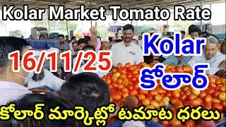 16 November 2025| కోలార్ మార్కెట్లో టమాట ధరలు| today Tomato rate Kolar market | Kolar top rate 