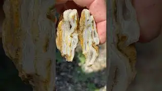 This ugly Agate Was Beautiful Inside !
