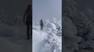 Morning Run - Winter Wilderness - Fitness - Work Out