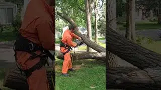 How to use a Chainsaw