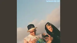 Wake Me Up