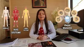 Serebral Palsi Nedir? ( Cerebral palsy ) | Medipark Tıp Merkezi