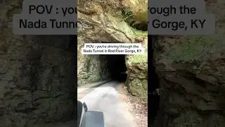Historic Nada Tunnel in Red River Gorge KY! #rrg #nadatunnel #redrivergorge #kentucky #travel
