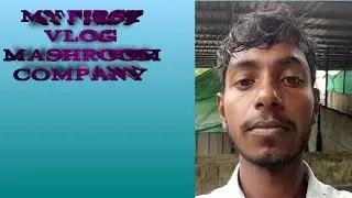 Bangalore||udapi mashroom factory 🏭🏭🏭🏭#banglore #bangloreinfluencer #banglorevlog 