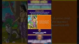 කූටසාක (පුටදූසක) ජාතකය #shorts #buddha #pirith